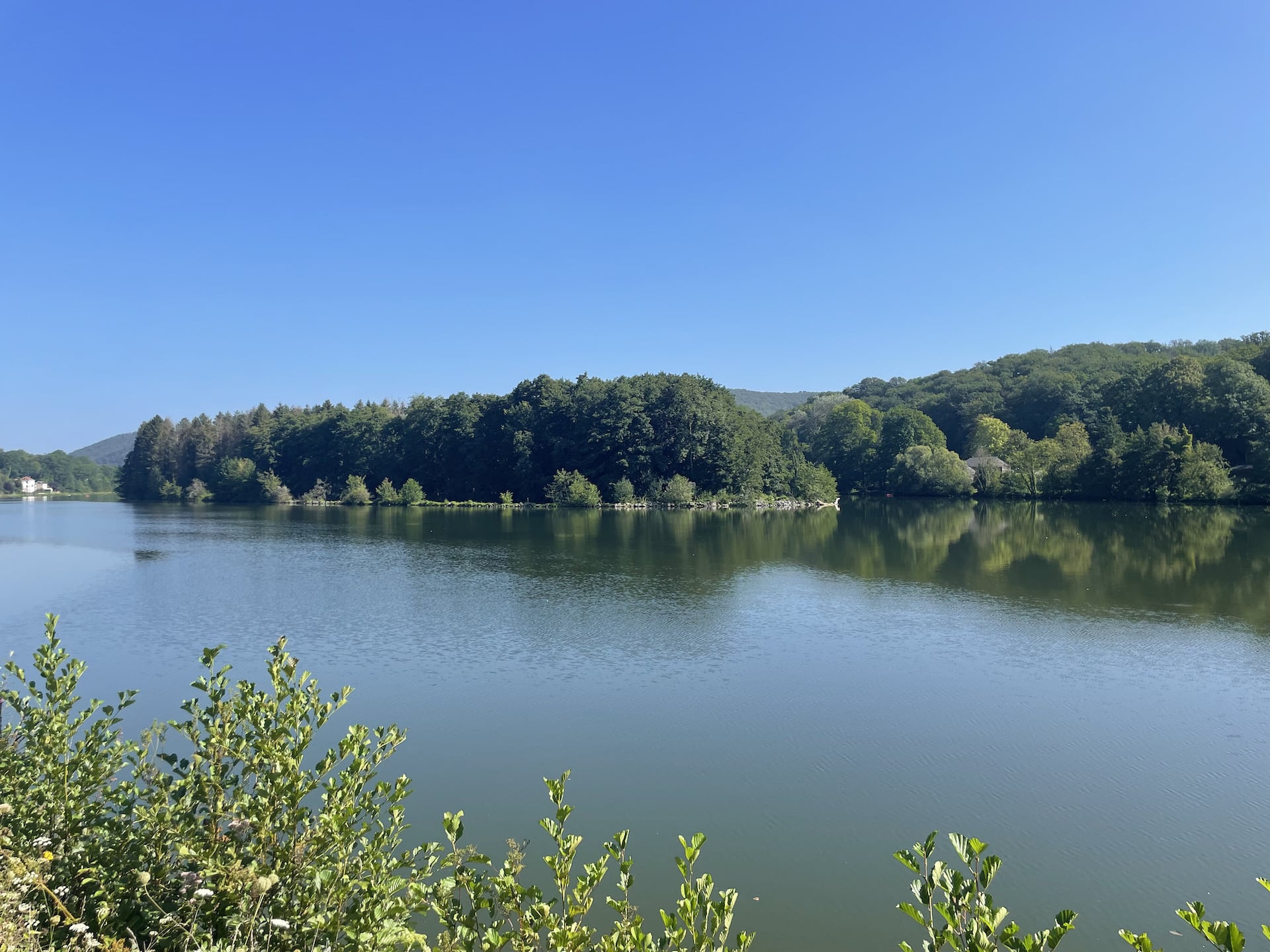 Lac paisible entouré d'arbres sous ciel bleu